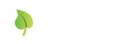 LBP Solutions New Website